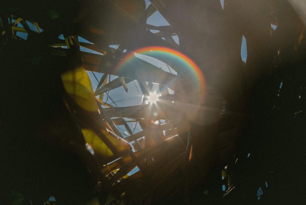 A Photo Of The Sun Angled Behind The Grass