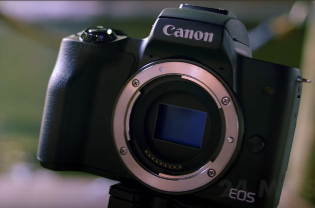 Beginner’s Guide to Mirrorless Cameras