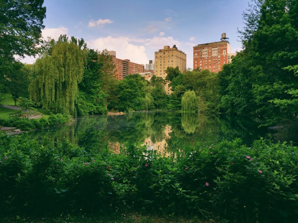 Best photography locations in New York City