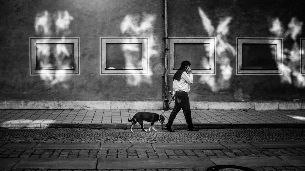 Man Walking His Dog