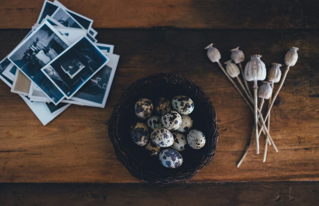 Quail Eggs And Instax Photos Laid Out Together